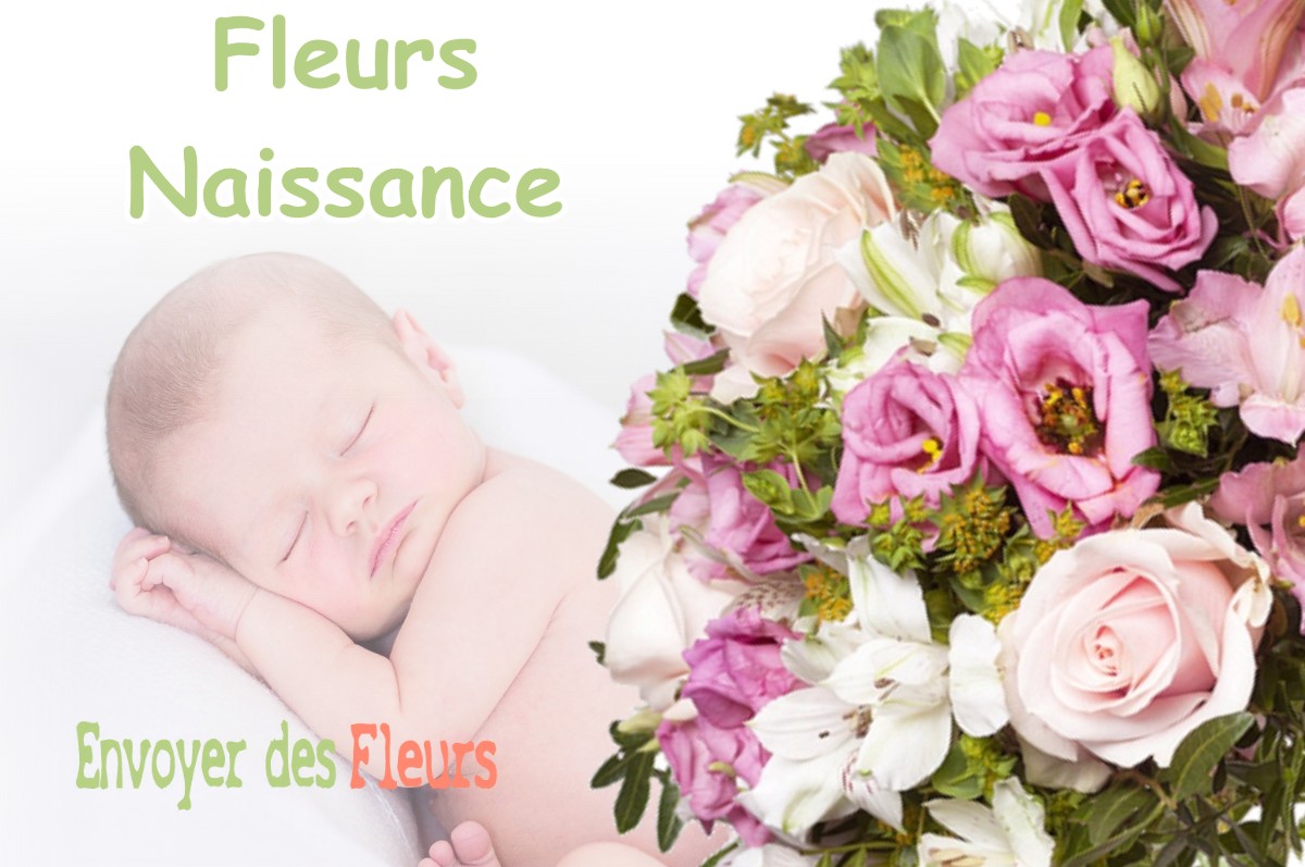 lIVRAISON FLEURS NAISSANCE à LAMASQUERE