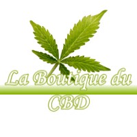 LA BOUTIQUE DU CBD LAMASQUERE 